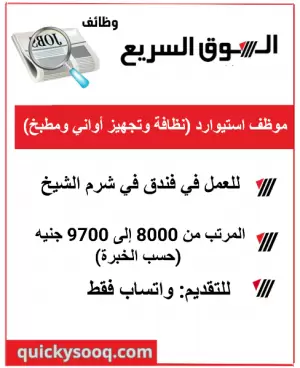 موظف استيوارد للعمل في فندق في شرم الشيخ