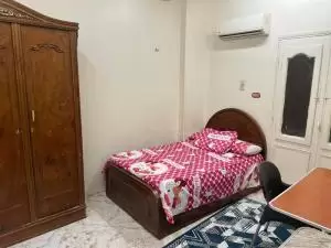 شقه مفروشه مطله على النيل للإيجار 140متر بسوهاج بجوار بنك قطر QNB