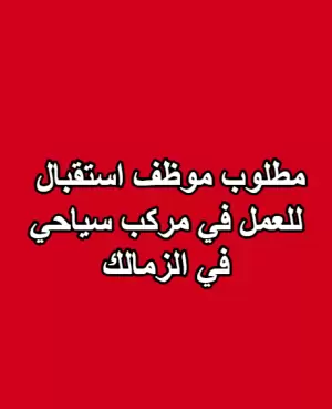 مطلوب موظف استقبال في مركب سياحي في الزمالك