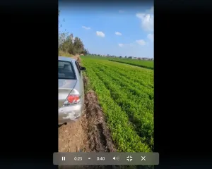 أرض زراعيه للبيع - ارض زراعيه ممتاذة لزراعة كافة المحاصيل الزراعيه - قطن - ارز - ذرة - شعير - فول - . . . .