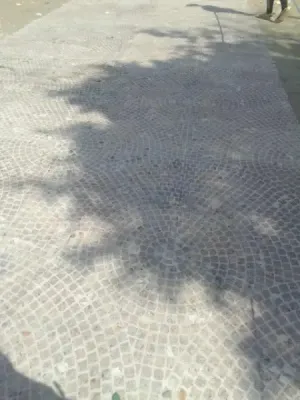موكيت مستعمل كسر زيرو حاله الجديد سعر المتر 45 جنيه