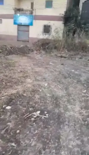 ارض مباني للبيع ١٥٦٠ متر داخل كتله سكنية الأرض قابله للتقسيم لقطع  العنوان :قرية شركة بسنديله شارع عصارة المصلى/ طريق الوساطة