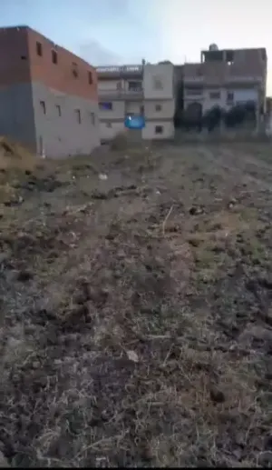 ارض مباني للبيع ١٥٦٠ متر داخل كتله سكنية الأرض قابله للتقسيم لقطع  العنوان :قرية شركة بسنديله شارع عصارة المصلى/ طريق الوساطة