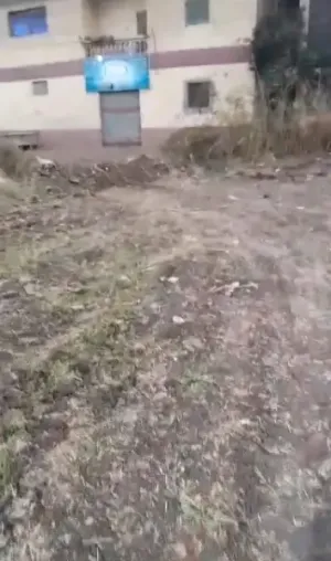 ارض مباني للبيع ١٥٦٠ متر داخل كتله سكنية الأرض قابله للتقسيم لقطع  العنوان :قرية شركة بسنديله شارع عصارة المصلى/ طريق الوساطة