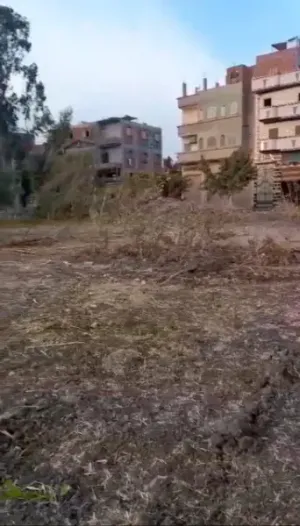 ارض مباني للبيع ١٥٦٠ متر داخل كتله سكنية الأرض قابله للتقسيم لقطع  العنوان :قرية شركة بسنديله شارع عصارة المصلى/ طريق الوساطة