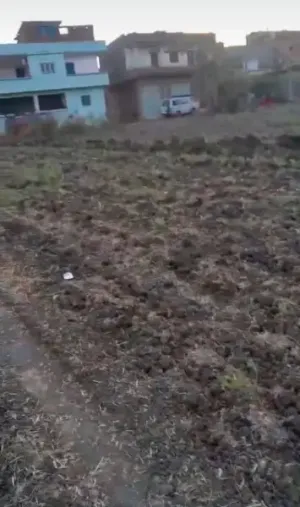 ارض مباني للبيع ١٥٦٠ متر داخل كتله سكنية الأرض قابله للتقسيم لقطع  العنوان :قرية شركة بسنديله شارع عصارة المصلى/ طريق الوساطة