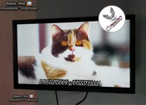 رسيفر iptv فاتح جميع القنوات مجاناً بدون ما تدفع أي إشتراك شهري