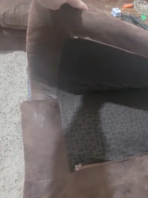 انترية امريكي و ٢ جذامه