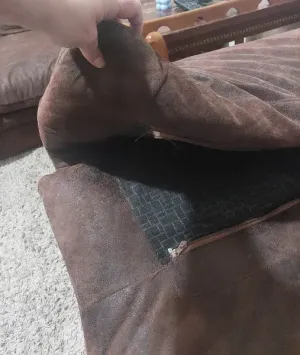 انترية امريكي و ٢ جذامه