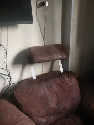 انترية امريكي و ٢ جذامه