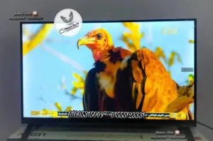 شاشة تلفزيون 32 بوصة Syinix عادية رسيفر داخلي فريمليس ICast ضمان سنتين