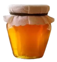 عسل فى مصر