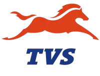 تي في اس TVS فى مصر